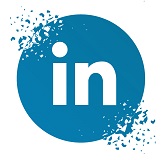 icona linkedin